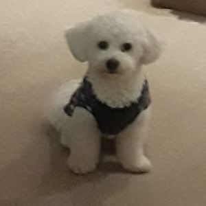 Meet your Posher, Angie